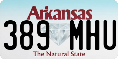 AR license plate 389MHU