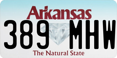 AR license plate 389MHW
