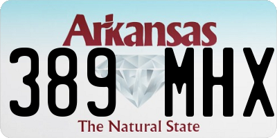 AR license plate 389MHX