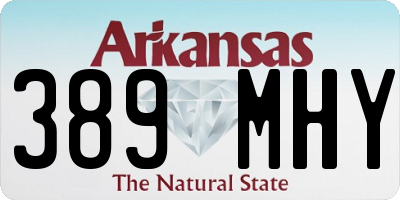 AR license plate 389MHY