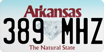 AR license plate 389MHZ