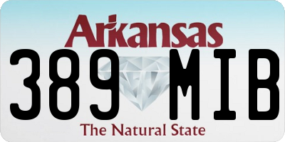 AR license plate 389MIB