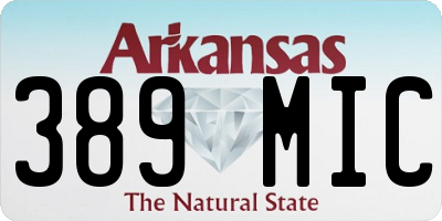 AR license plate 389MIC