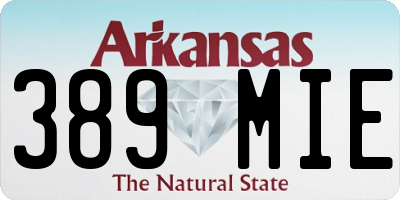 AR license plate 389MIE