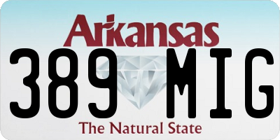 AR license plate 389MIG