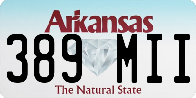 AR license plate 389MII