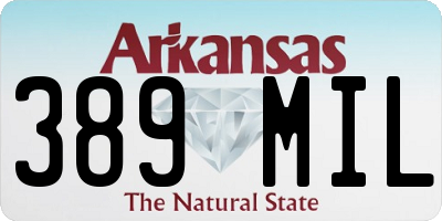 AR license plate 389MIL