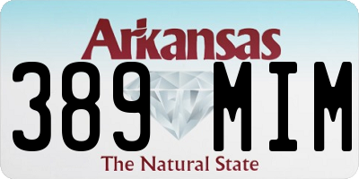 AR license plate 389MIM