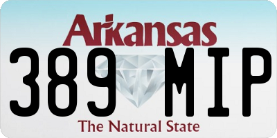 AR license plate 389MIP