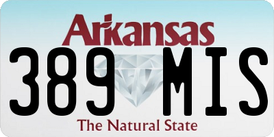 AR license plate 389MIS
