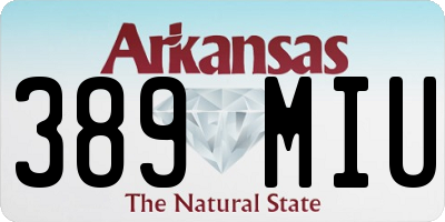 AR license plate 389MIU