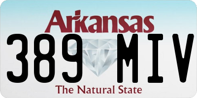 AR license plate 389MIV