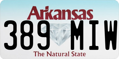 AR license plate 389MIW