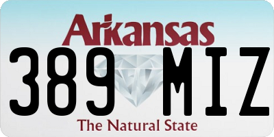 AR license plate 389MIZ