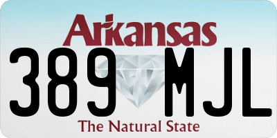 AR license plate 389MJL