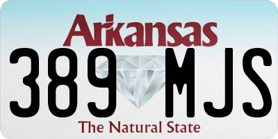 AR license plate 389MJS
