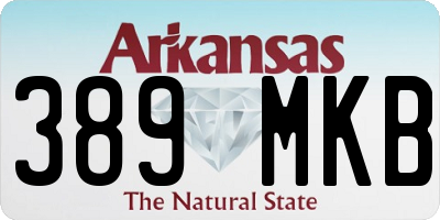AR license plate 389MKB