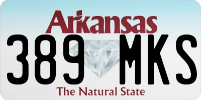 AR license plate 389MKS