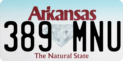 AR license plate 389MNU