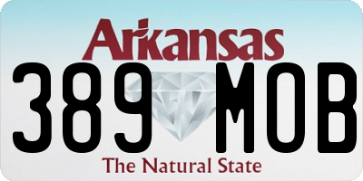 AR license plate 389MOB