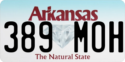 AR license plate 389MOH