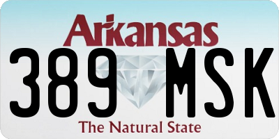 AR license plate 389MSK