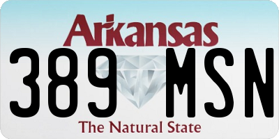 AR license plate 389MSN