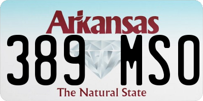 AR license plate 389MSO