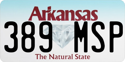 AR license plate 389MSP