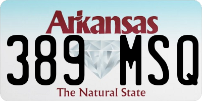 AR license plate 389MSQ