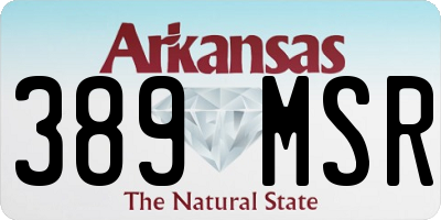 AR license plate 389MSR