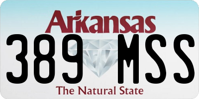 AR license plate 389MSS