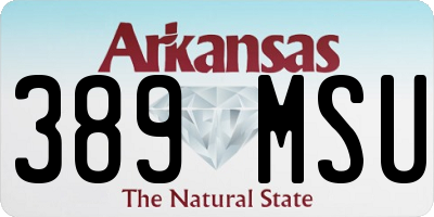 AR license plate 389MSU