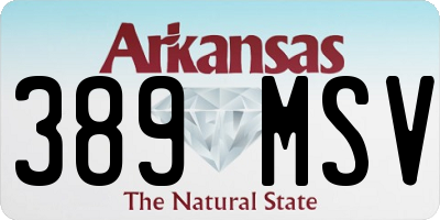AR license plate 389MSV