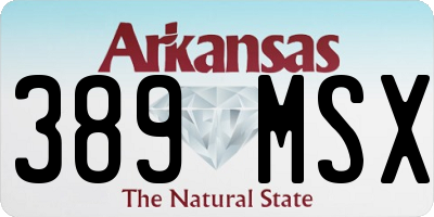 AR license plate 389MSX