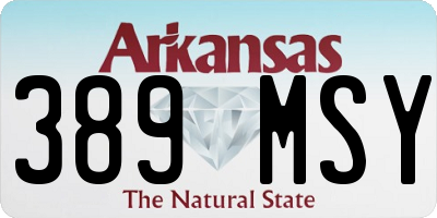 AR license plate 389MSY