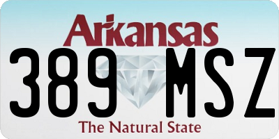 AR license plate 389MSZ