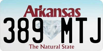 AR license plate 389MTJ