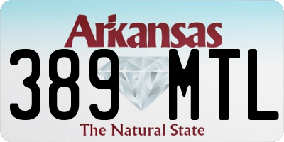 AR license plate 389MTL