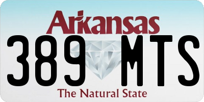 AR license plate 389MTS