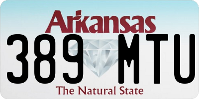 AR license plate 389MTU