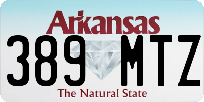 AR license plate 389MTZ