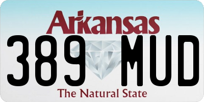 AR license plate 389MUD