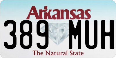 AR license plate 389MUH