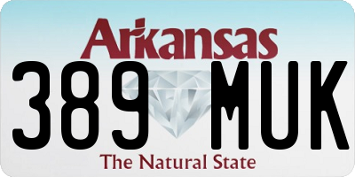 AR license plate 389MUK