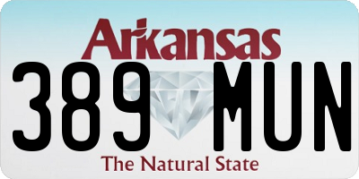 AR license plate 389MUN