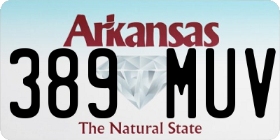 AR license plate 389MUV