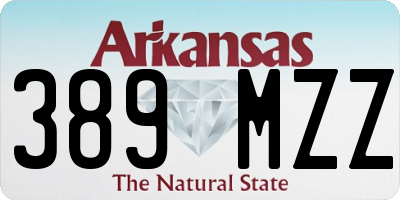 AR license plate 389MZZ