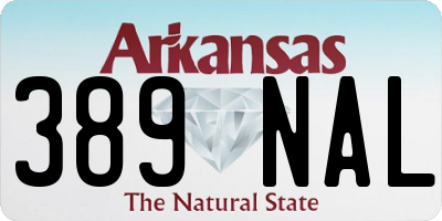 AR license plate 389NAL
