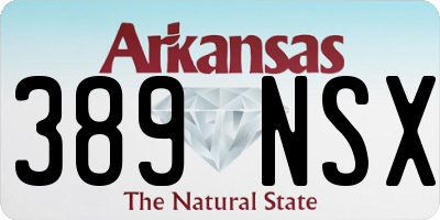 AR license plate 389NSX